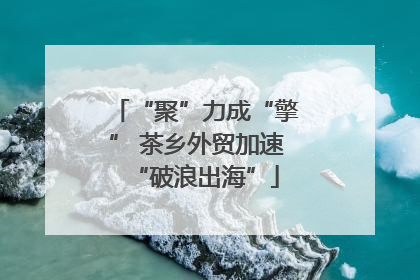 “聚”力成“擎” 茶乡外贸加速“破浪出海”