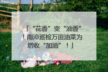 “花香”变“油香”！南漳巡检万亩油菜为增收“加油”！