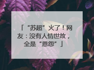 “苏超”火了！网友：没有人情世故，全是“恩怨”