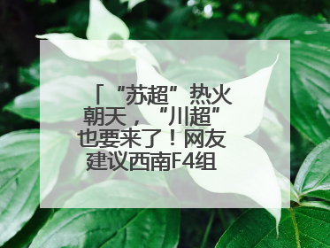 “苏超”热火朝天，“川超”也要来了！网友建议西南F4组建西甲联赛！
