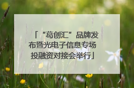 “葛创汇”品牌发布暨光电子信息专场投融资对接会举行