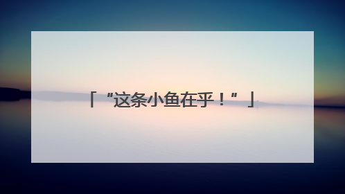 “这条小鱼在乎！”