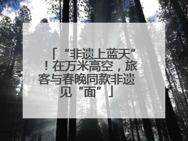 “非遗上蓝天”！在万米高空，旅客与春晚同款非遗见“面”