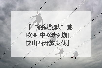“钢铁驼队”驰欧亚 中欧班列加快山西开放步伐