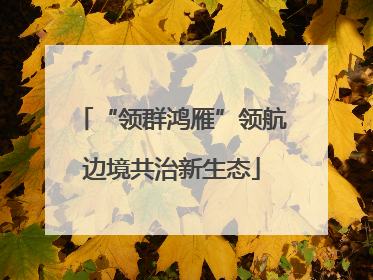 “领群鸿雁”领航边境共治新生态