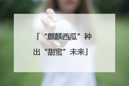 “麒麟西瓜”种出“甜蜜”未来