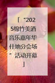 “2025绵竹美酒音乐嘉年华什地分会场”活动开幕