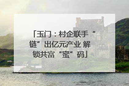 玉门：村企联手“链”出亿元产业 解锁共富“蜜”码