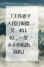 王伟妻子人民日报撰文：81192，一架永不停航的战机