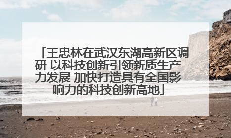 王忠林在武汉东湖高新区调研 以科技创新引领新质生产力发展 加快打造具有全国影响力的科技创新高地
