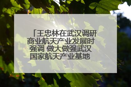 王忠林在武汉调研商业航天产业发展时强调 做大做强武汉国家航天产业基地 打造具有全国影响力的“中国星谷”