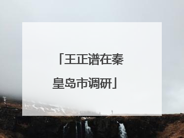 王正谱在秦皇岛市调研