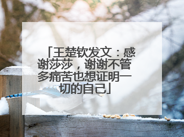 王楚钦发文：感谢莎莎，谢谢不管多痛苦也想证明一切的自己