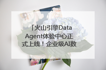 火山引擎Data Agent体验中心正式上线！企业级AI数据专家触手可及