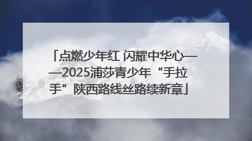 点燃少年红 闪耀中华心——2025浦莎青少年“手拉手”陕西路线丝路续新章