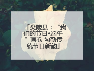 炎陵县：“我们的节日•端午”画卷 勾勒传统节日新韵