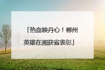 热血映丹心！郴州英雄在湘获省表彰