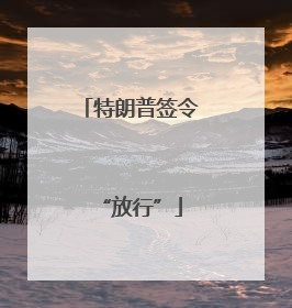 特朗普签令“放行”