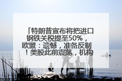 特朗普宣布将把进口钢铁关税提至50%，欧盟：遗憾，准备反制！美股此前震荡，机构：美元正进入熊市