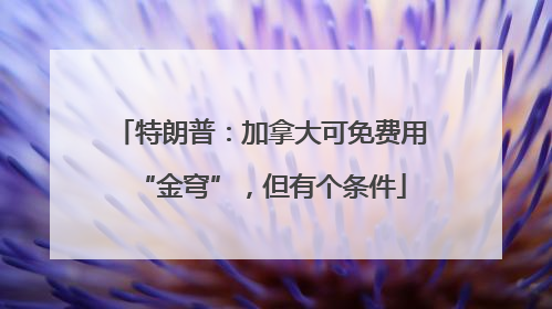 特朗普：加拿大可免费用“金穹”，但有个条件