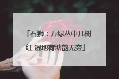 石狮：万绿丛中几树红 湿地荷塘韵无穷