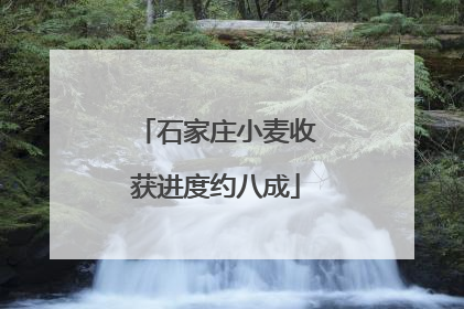 石家庄小麦收获进度约八成