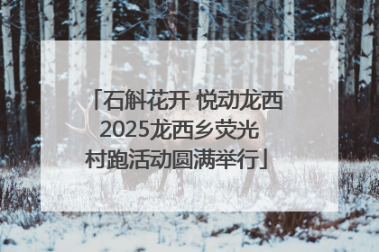 石斛花开 悦动龙西 2025龙西乡荧光村跑活动圆满举行