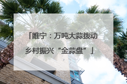 睢宁：万吨大蒜拨动乡村振兴“金蒜盘”
