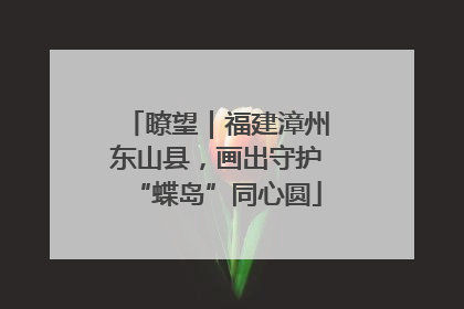 瞭望｜福建漳州东山县，画出守护“蝶岛”同心圆
