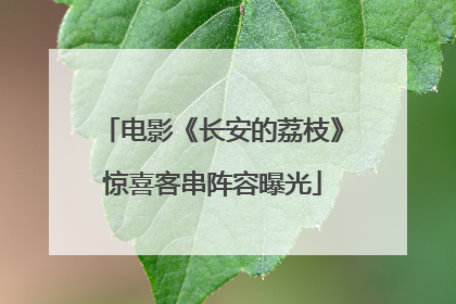 电影《长安的荔枝》惊喜客串阵容曝光
