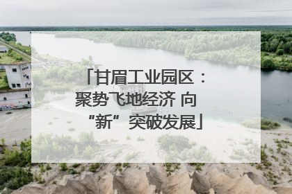 甘眉工业园区：聚势飞地经济 向“新”突破发展