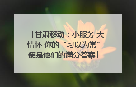 甘肃移动：小服务 大情怀 你的“习以为常”便是他们的满分答案