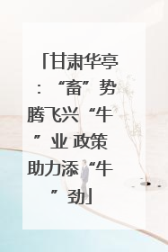 甘肃华亭：“畜”势腾飞兴“牛”业 政策助力添“牛”劲
