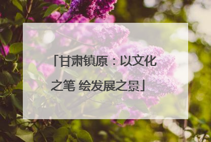 甘肃镇原：以文化之笔 绘发展之景