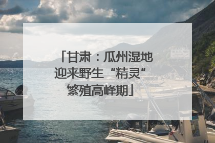 甘肃：瓜州湿地迎来野生“精灵”繁殖高峰期