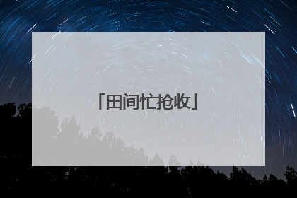 田间忙抢收
