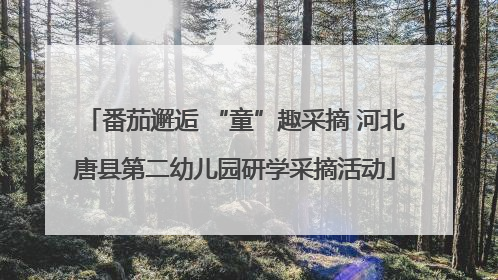 番茄邂逅 “童”趣采摘 河北唐县第二幼儿园研学采摘活动
