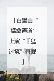 百望山“猛禽通道”上演“千猛过境”奇观