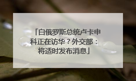 白俄罗斯总统卢卡申科正在访华？外交部：将适时发布消息