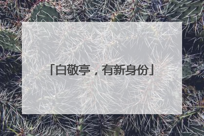 白敬亭，有新身份