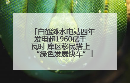 白鹤滩水电站四年发电超1960亿千瓦时 库区移民搭上“绿色发展快车”