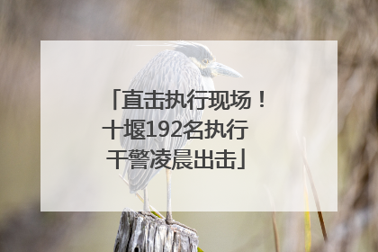 直击执行现场！十堰192名执行干警凌晨出击