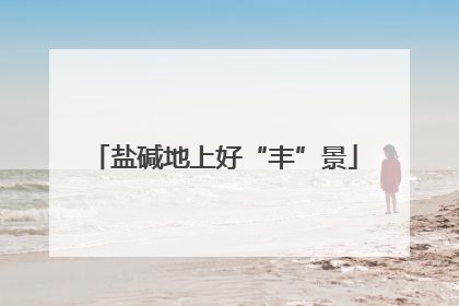 盐碱地上好“丰”景