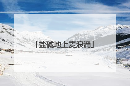 盐碱地上麦浪涌