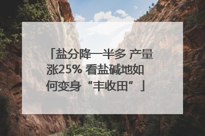 盐分降一半多 产量涨25% 看盐碱地如何变身“丰收田”