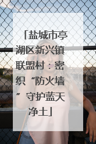 盐城市亭湖区新兴镇联盟村：密织“防火墙”守护蓝天净土