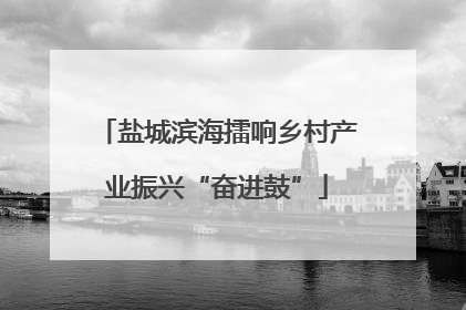 盐城滨海擂响乡村产业振兴“奋进鼓”