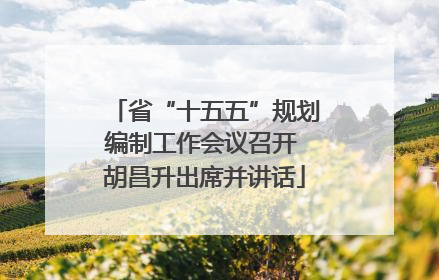 省“十五五”规划编制工作会议召开 胡昌升出席并讲话