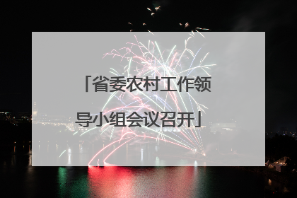 省委农村工作领导小组会议召开