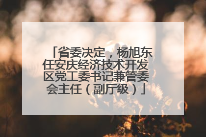 省委决定，杨旭东任安庆经济技术开发区党工委书记兼管委会主任（副厅级）